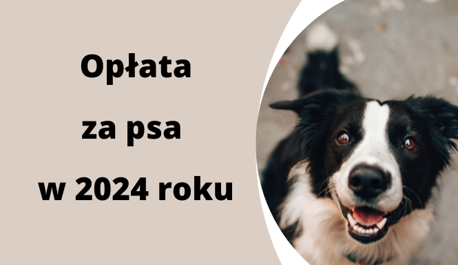 Opłata za psa w 2024 roku